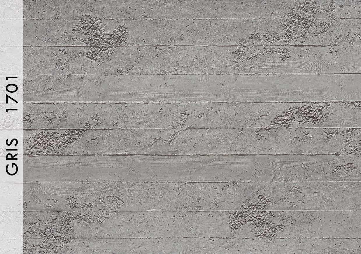 roughast-gris-1701 roughast gris 1701